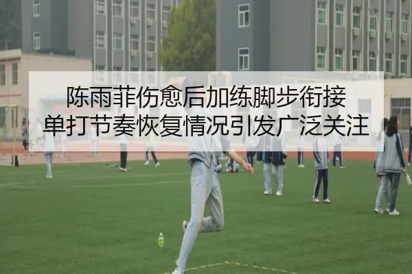 陈雨菲伤愈后加练脚步衔接 单打节奏恢复情况引发广泛关注