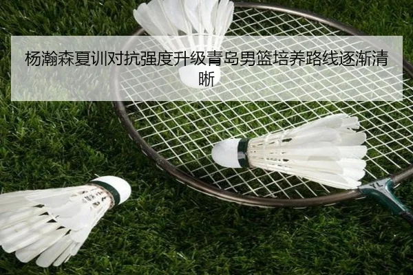 杨瀚森夏训对抗强度升级青岛男篮培养路线逐渐清晰